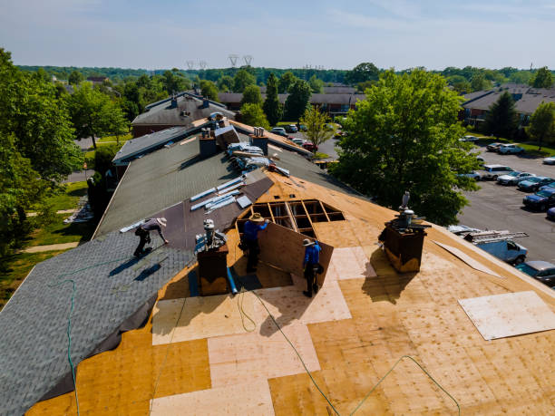 24/7 Emergency Metal Roofing experts in Chestnut Mound, TN
